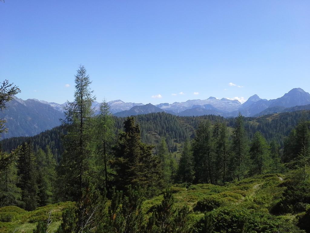 Phantasia Flachau